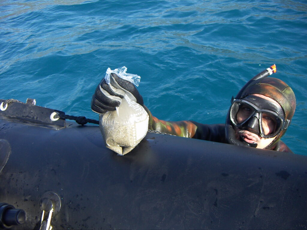 KONICA MINOLTA DIGITAL CAMERA Geologo per relazioni geologiche a Cosenza